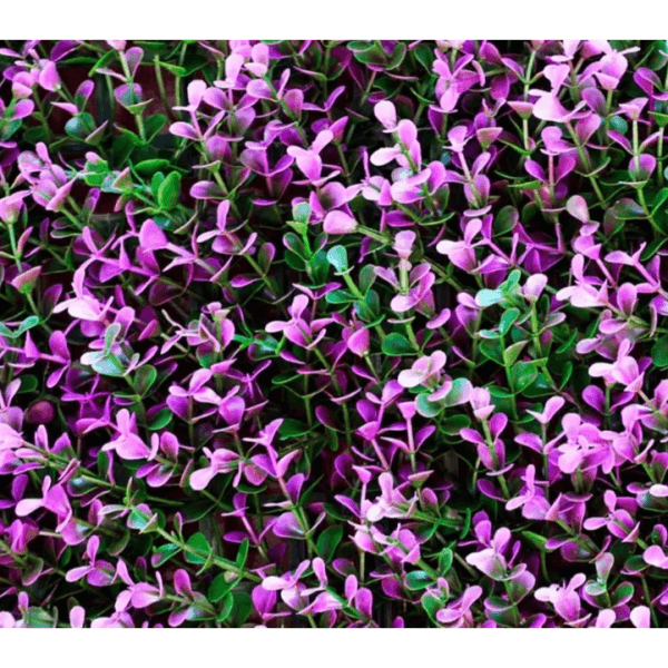 Green Wall Lavender Model